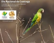 quando-e-o-dia-nacional-da-caatinga-6