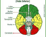 quanto-tempo-pode-durar-um-dano-cerebral-2