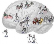 quanto-tempo-pode-durar-um-dano-cerebral-6