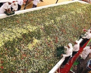 Maior Salada do Mundo, Espanha, 6.500 kg de vegetais