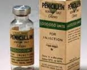 relato-de-fleming-descoberta-da-penicilina-8