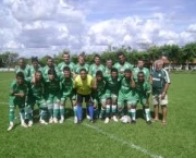ressurgimento-do-guarani-10