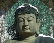 retiro-budista-5