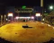 rodeio-cajamar-2011-11