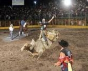 rodeio-cajamar-2011-14