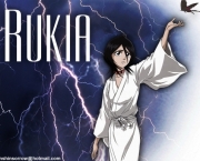Rukia-Kuchiki-bleach-forever-30548118-512-384