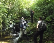 Salto Do Saci - Cachoeira (1)