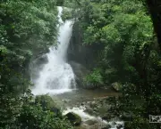 Salto Do Saci - Cachoeira (3)