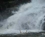 Salto Do Saci - Cachoeira (5)