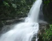 Salto Do Saci - Cachoeira (6)