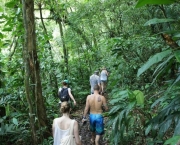 Salto Do Saci - Cachoeira (13)