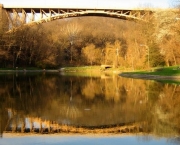 schenley-park-8