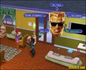 the-sims.jpg