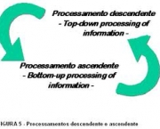 semantica-e-segmentacao-contextual-3