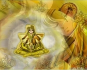 shaka-de-virgem-12