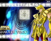 shaka-de-virgem-13