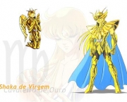 shaka-de-virgem-7