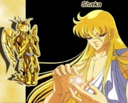 shaka-de-virgem-9