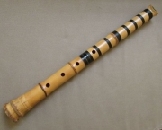 Shakuhachi Brasil (7)