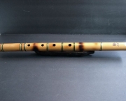 Shakuhachi Brasil (9)