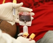 Sintomas Do Sangue Grosso (1).jpeg