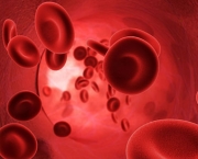 Sintomas Do Sangue Grosso (3).jpg