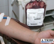 Sintomas Do Sangue Grosso (7).jpg