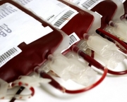 Sintomas Do Sangue Grosso (8).jpg
