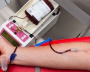 Sintomas Do Sangue Grosso (12).jpg