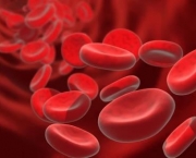 Sintomas Do Sangue Grosso (16).jpg