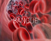 Sintomas Do Sangue Grosso (17).jpg