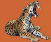 Smilodon 1