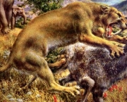 Smilodon 3