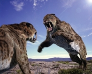 Smilodon 8