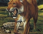 Smilodon 10