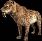 Smilodon 11