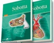 sabotta-anatomia-14