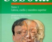 sabotta-anatomia-22