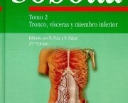 sabotta-anatomia-6