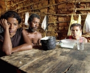 Solução Para a Fome no Brasil (5)