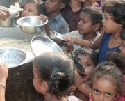 Solução Para a Fome no Brasil (12)