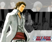 sousuke-aizen-do-bleach-9