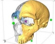 subespecie-do-grupo-neanderthal-2