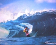 Surfe 4