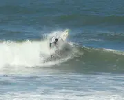 Surfe 8