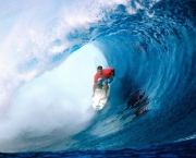 Surfe 12