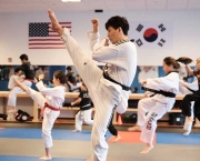 Taekwondo (1)