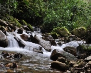 tecnologia-que-guarda-agua-no-solo-2