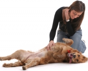 terapias-alternativas-para-animais-de-estimacao-6