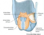 termos-importante-6